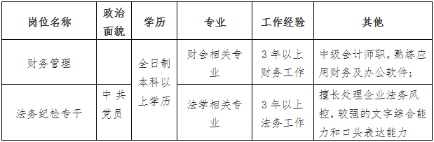 爱游戏电子(中国)官方网站 财务管理、法务纪检专干公开招聘