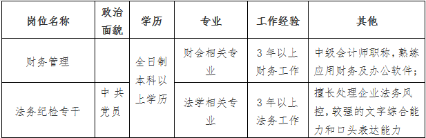 爱游戏电子(中国)官方网站 财务管理、法务纪检专干公开招聘